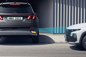 Parking Collision-Avoidance Assist (PCA)