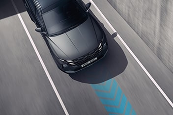 Lane Following Assist (LFA)