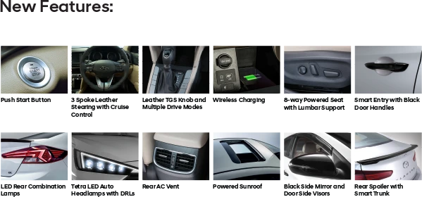 Elantra Limited Edition detail 2